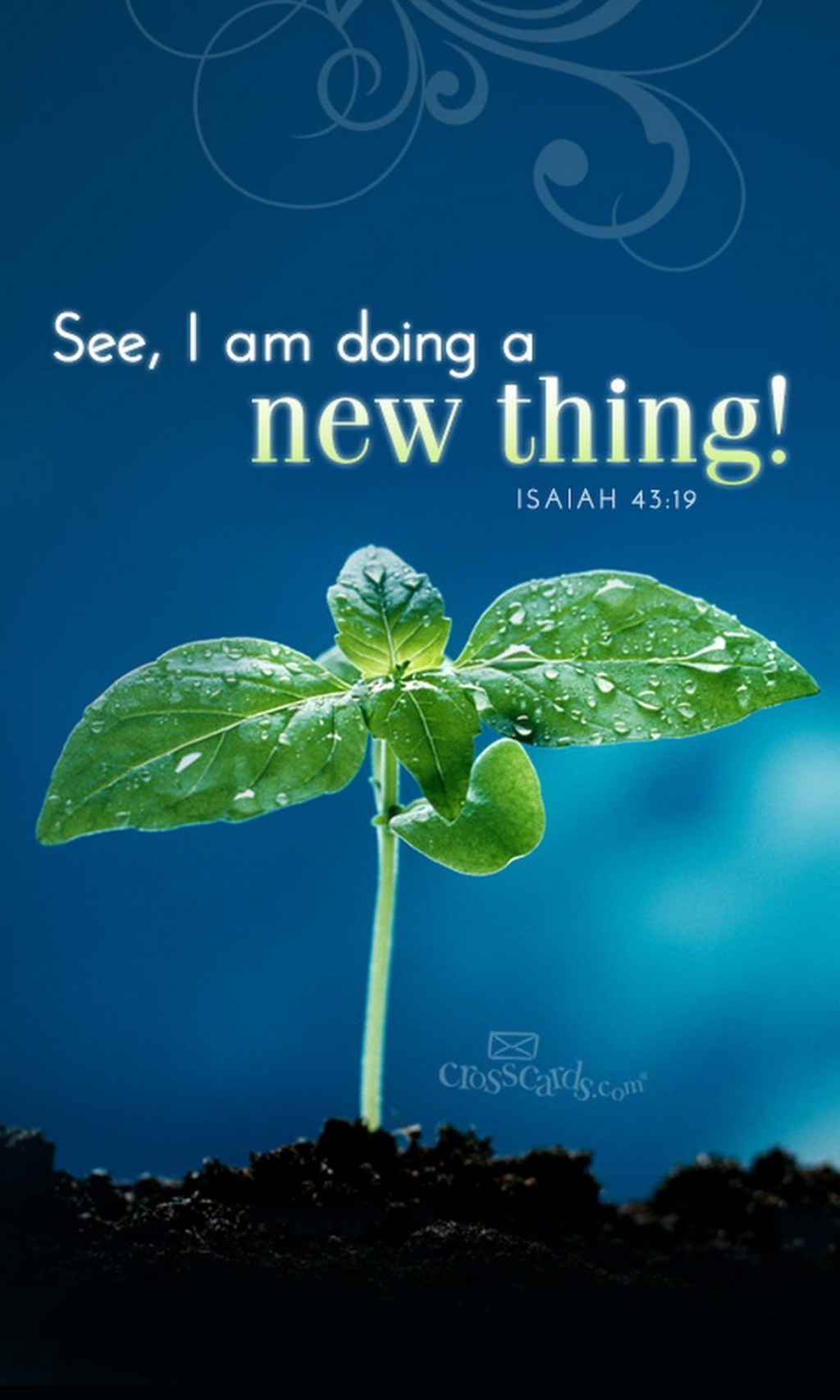 Made Anew (God’s&nbsp;3Ps)